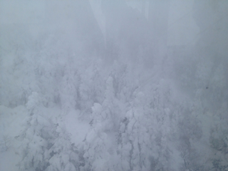 image-20120325230220.png